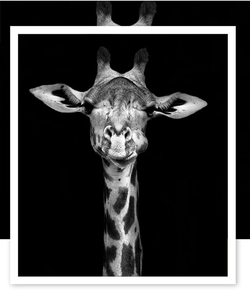 Canvas Painting Animal Wall Art Lion Elephant Deer Zebra Posters and Prints Wall Pictures for Living Room Decoration Home Decor