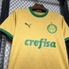 24/25 Palmeiras Soccer Jersey Second Away