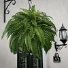 💥This Week's Special Price 💥UV Resistant Lifelike Artificial Boston Fern