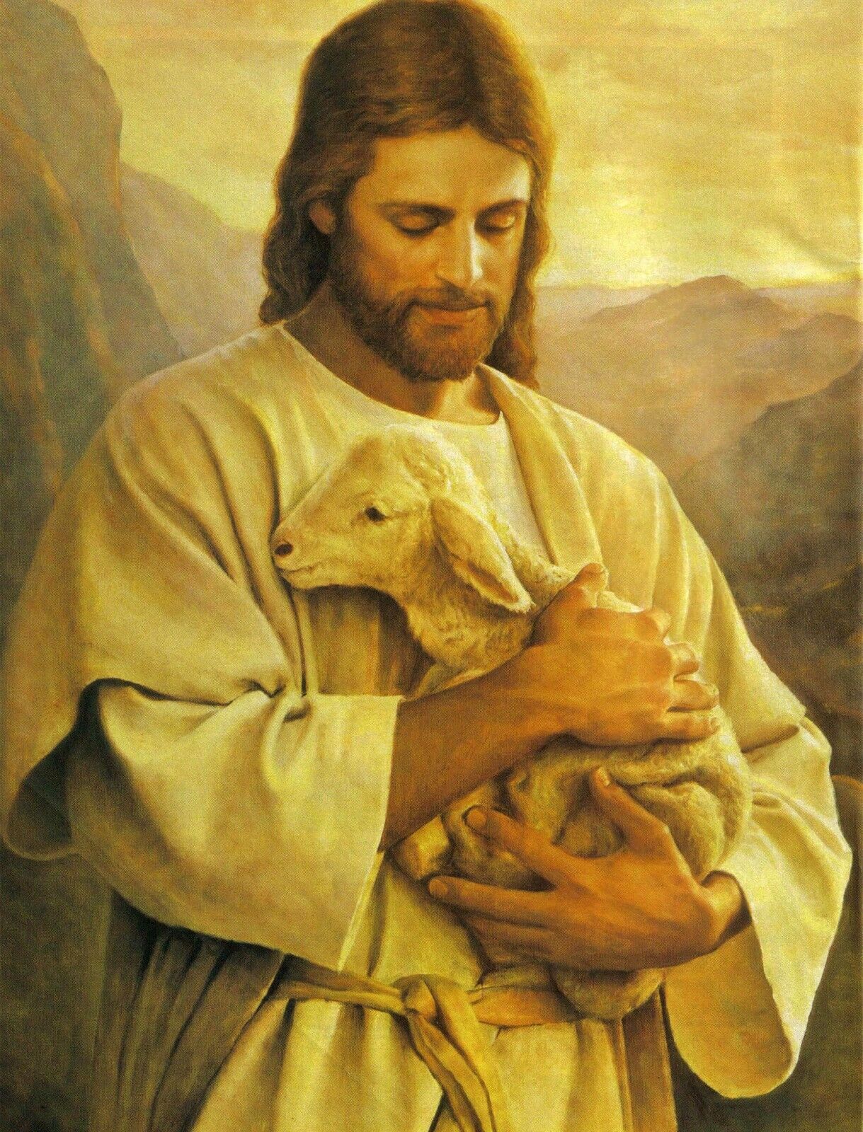 JESUS CHRIST THE LAMB OF GOD 8.5X11 Photo Poster painting PICTURE REPRINT CHRISTIAN LOST SHEEP