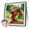 (US Only)Paint By Numbers Kit On Canvas DIY Oil Art Dachshund Picture Home Decor40x40cm