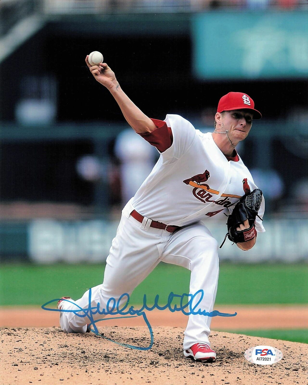 SHELBY MILLER signed 8x10 Photo Poster painting PSA/DNA St. Louis Cardinals Autographed