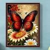 30x40cm Schmetterling 5d DIY Vollbohrer Runde Diamantmalerei Kit Haus Wanddekoration