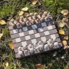 Magnetic Forest Mushroom Chess Set