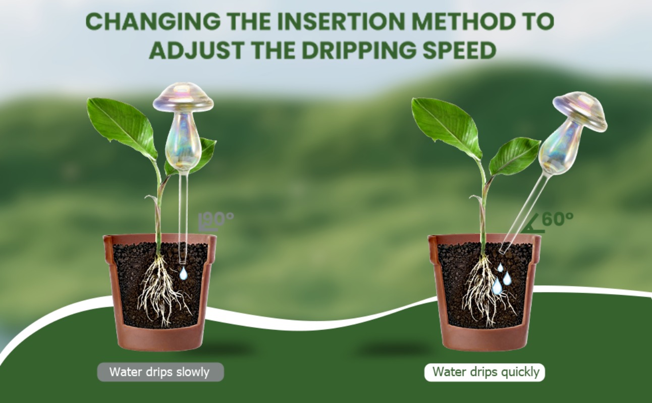 watering globes