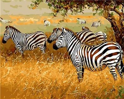 

Zebra in Savanna – Paint By Numbers - 40*50CM, 501 Original