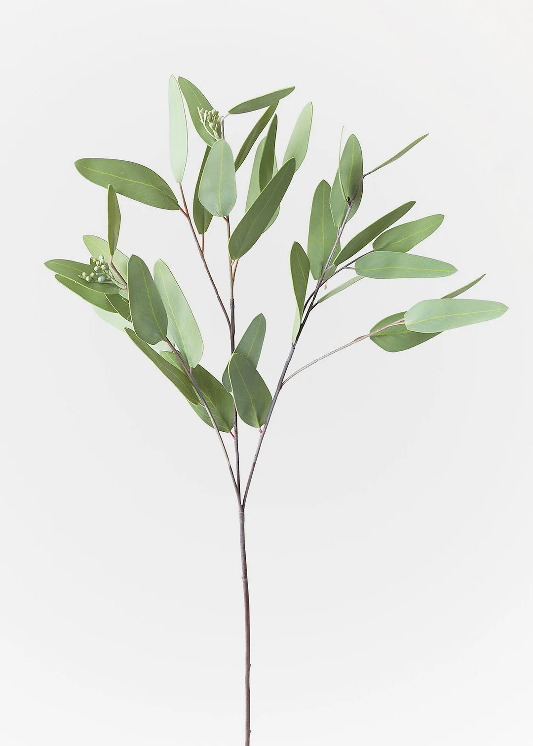 Faux Real Touch Eucalyptus Branch - 31"