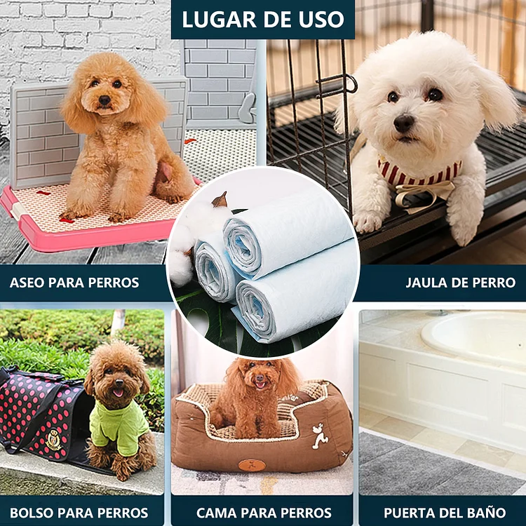 Empapadores de adiestramiento perro 60x60 30 unidades - Comprar perros y  cachorros. Consulta precio online. Venta de perros en Valencia y Alicante