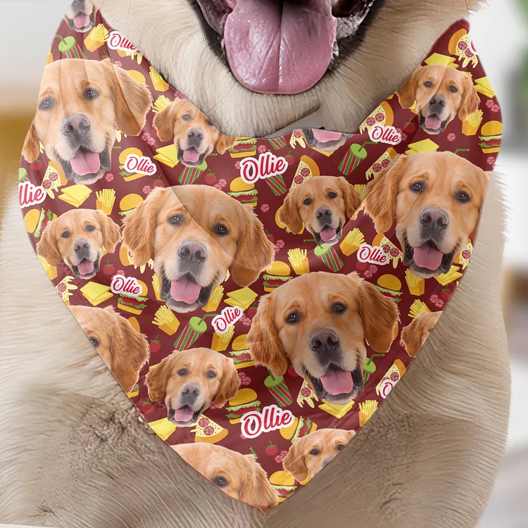 Customized fast food pattern headscarf for pets 