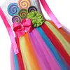 Kids Girl Carnival Frock Little  Birthday Fancy Rainbow Tutu Dress