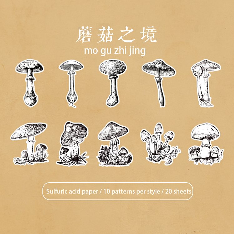 JOURNALSAY 20pcs Linear Draft Plants Flowers Materials Stationery Decoration Sticker
