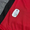 Joyfball 2025 Albania National Team Home Football Shirt 1:1 Thai Quality