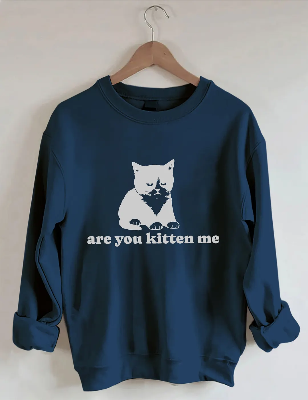 Are You Kitten Me Sweatshirt