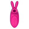 Women Vibrator for Pussy