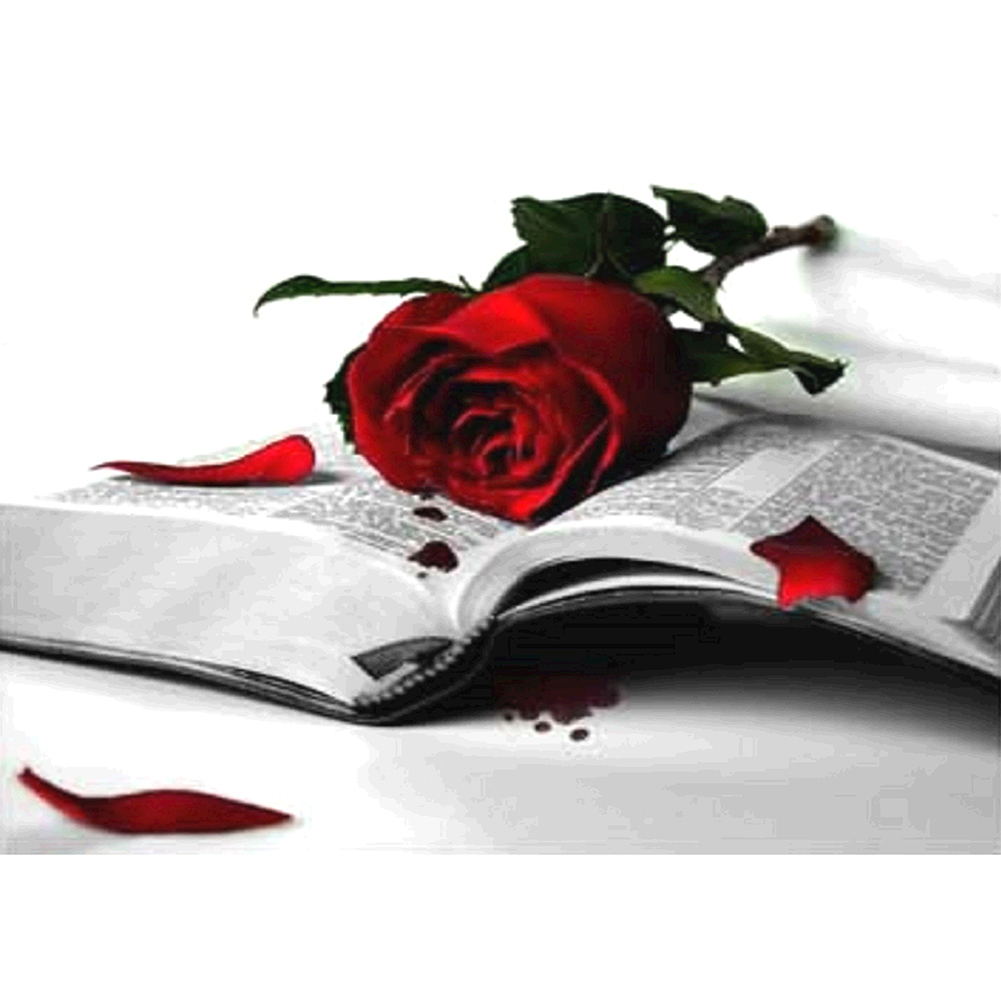 

40*30CM - Round Drill Diamond Painting - Book And Rose, 501 Original
