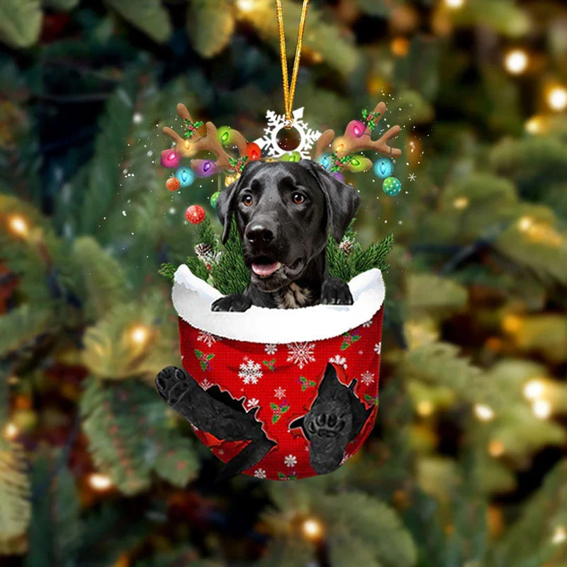 Black Dalmatian In Snow Pocket Christmas Ornament.
