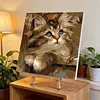 Framed Pear Cat-Paint By Numbers Acrylic Painting 20*20CM With Color Box 3ML(12Colors)