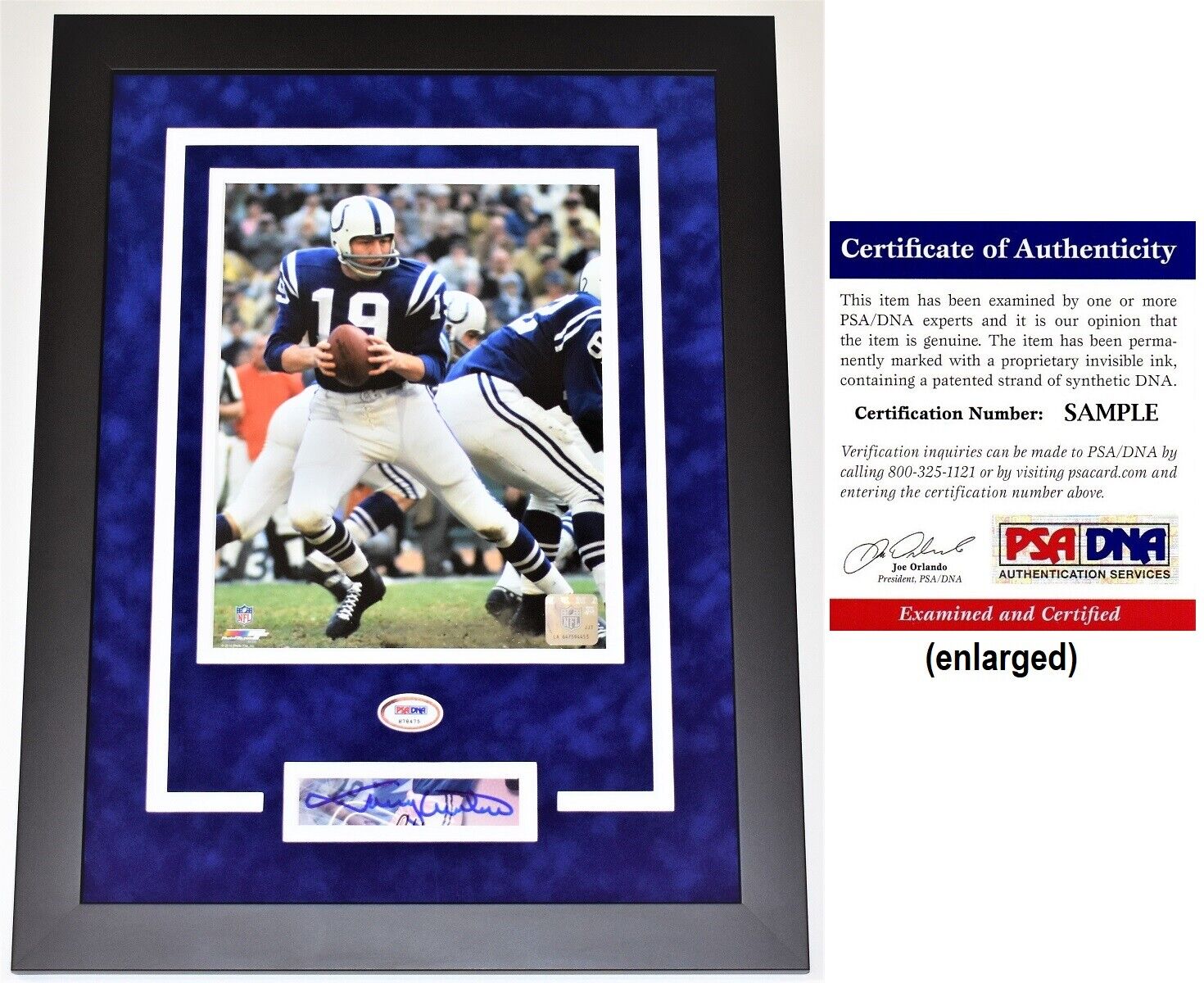 Johnny Unitas Signed Autographed Cut Baltimore Colts 8x10 Photo Poster painting FRAMED + PSA/DNA