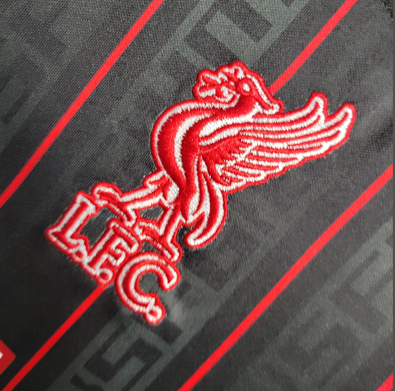 2023/2024 Liverpool Special Edition Football shirt Thai Quality