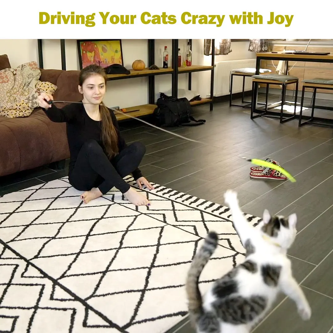 Interactive Cat Toys