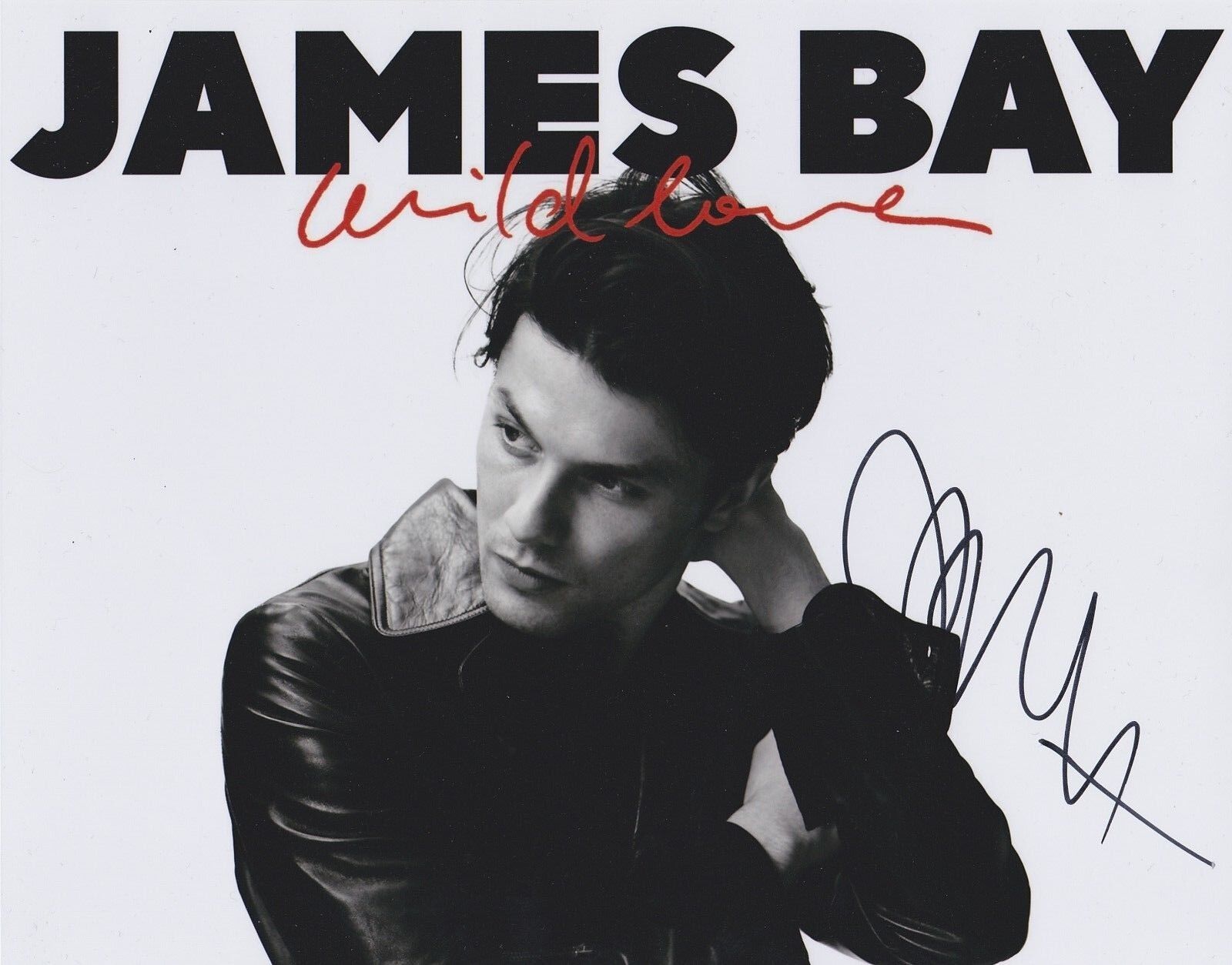 James Bay Signed 10x8 Photo Poster painting AFTAL