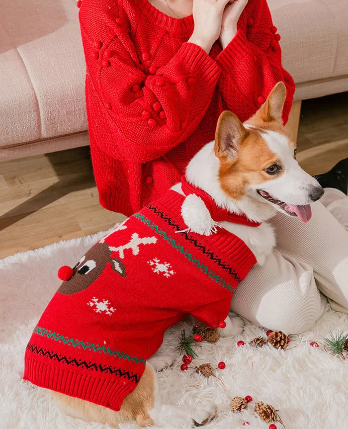 🔥Christmas Promotion 49% Off🔥Pets' Christmas Warm Clothes