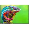 Bright lizard | Full Round Diamond Painting Kits