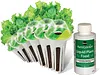Heirloom Salad Vegetables Greens Mix Seed Pod Kit