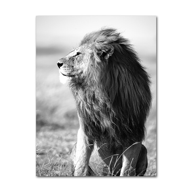 Black White Lion Yak Canvas Prints & Poster Autumn Landscape Canvas Painting Sunrise Lake Mountain Picture Nordic Art Decor Home