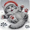 DIY Special Shaped Drill Diamond Painting Kit Framed - Cat