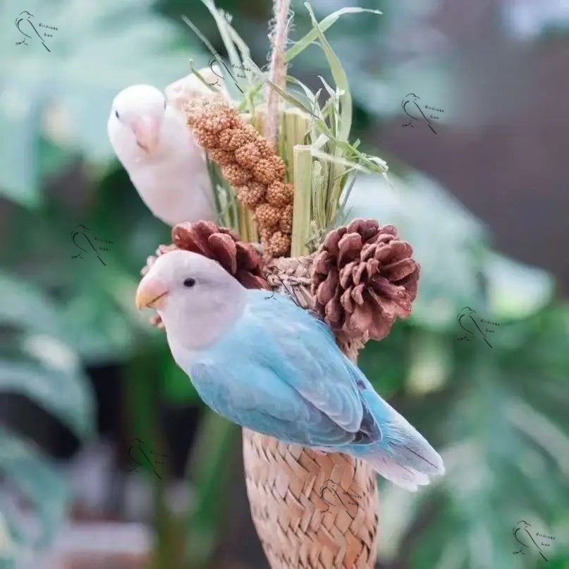 Parrot Handwoven Wheat Pinecone Chew Basket  Birdcagelab