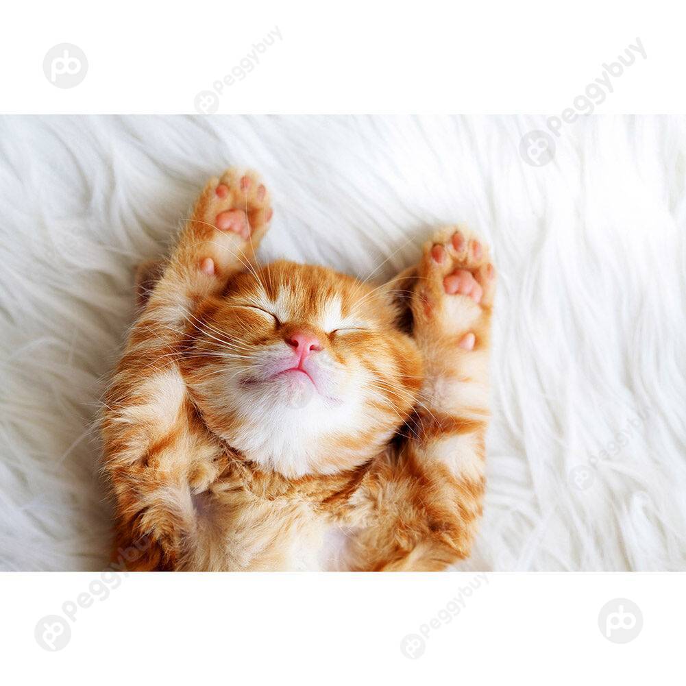 

1000pcs DIY Lie Sleeping Cat Puzzle Assembling Jigsaw Toys for Living Room, 501 Original