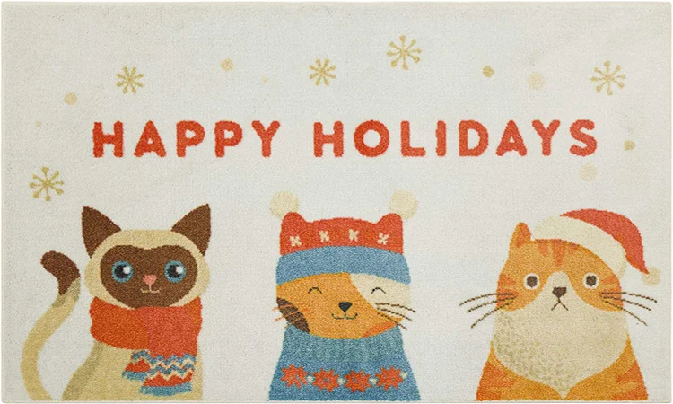 Bestier Indoor Blanket