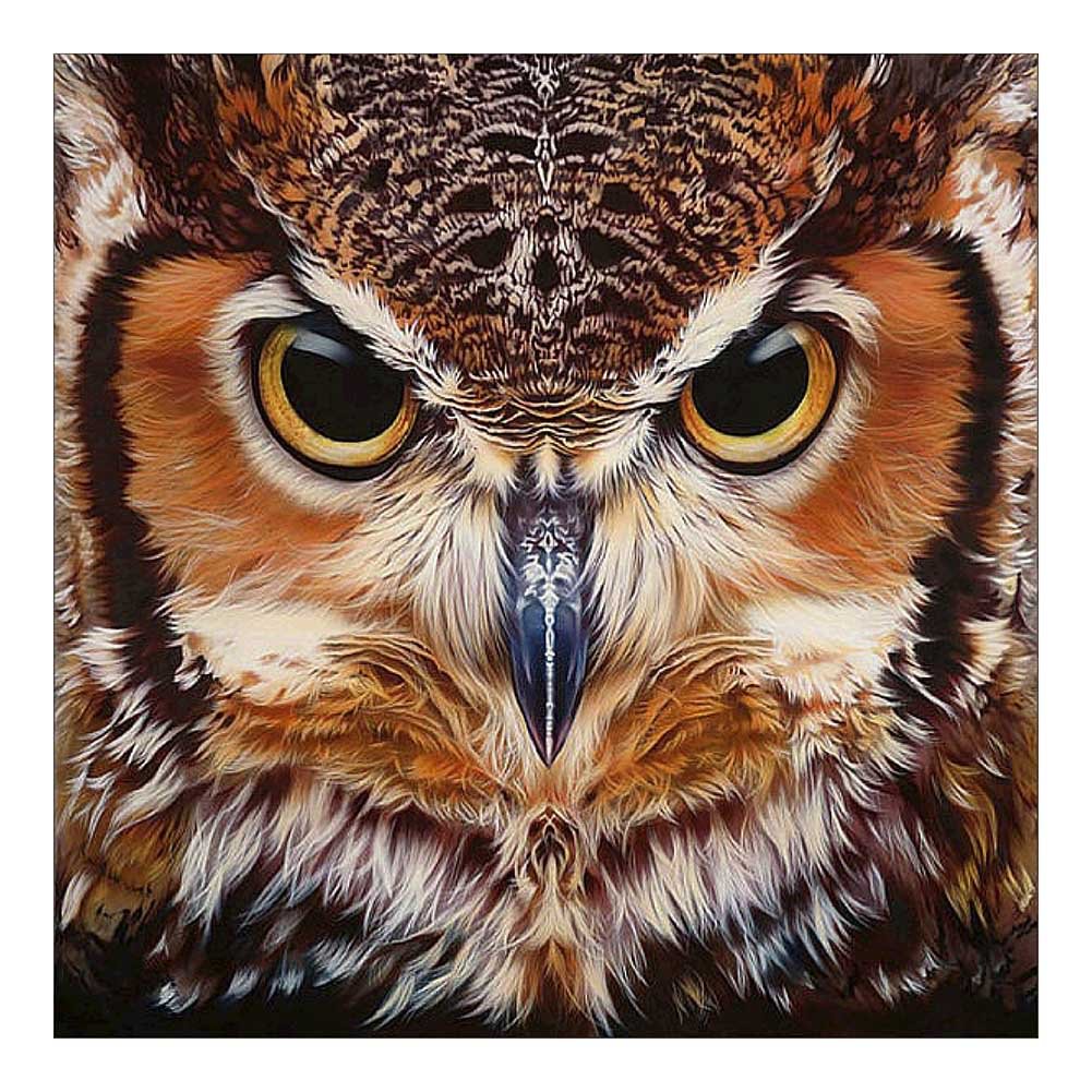 Owl - Full Drill - Diamond Painting(30*30cm)