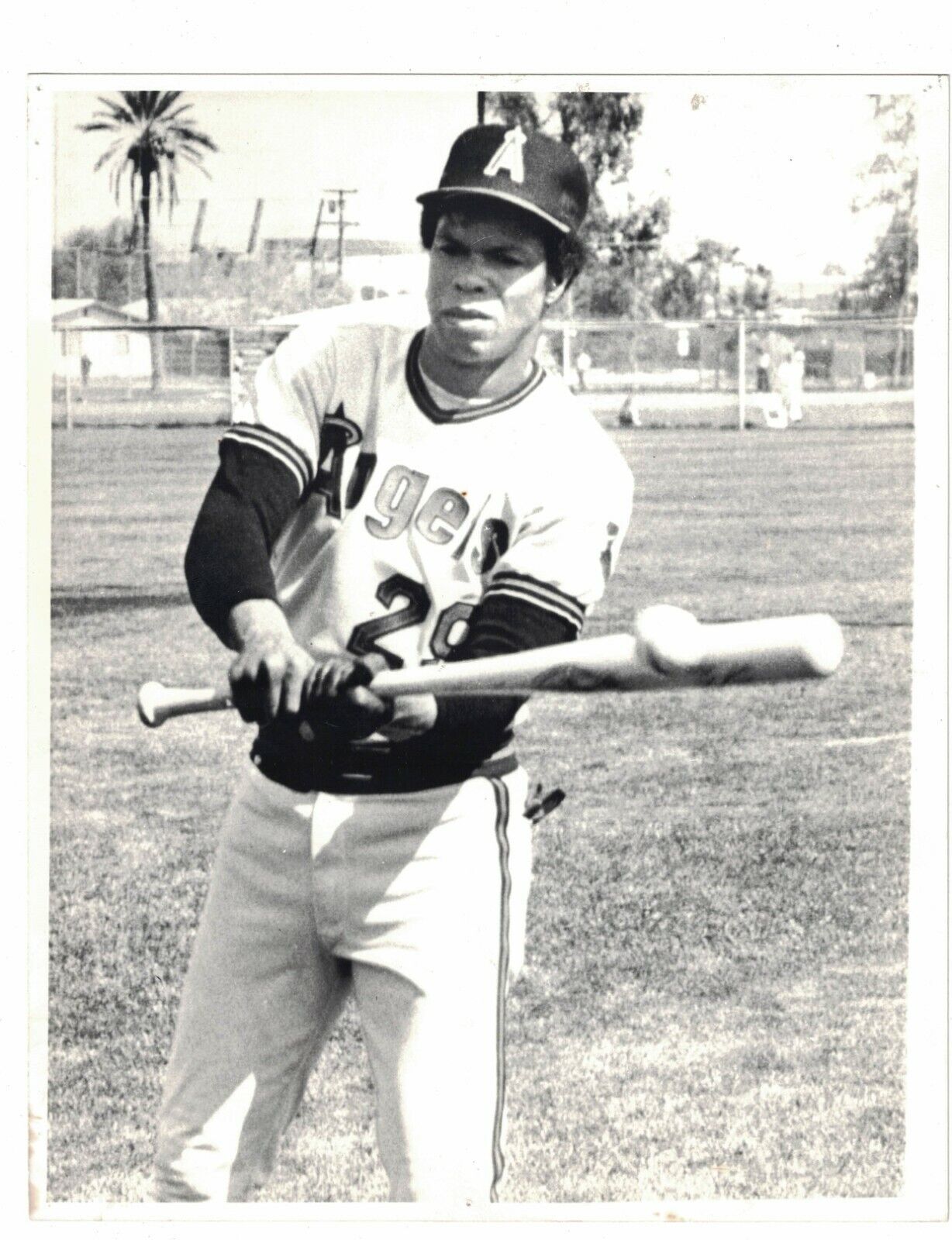 1979 Rod Carew California Angels UPI Baseball Photo Poster painting AO67