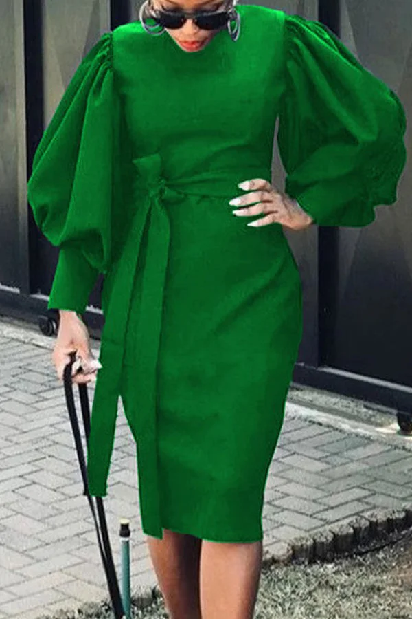 Elegant Plain Lantern Sleeve Crew Neck Dress