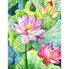 Diamond Painting-DIY Full Round Drill Lotus