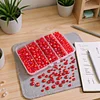 800Pcs 4/6/8/10mm Glass Beads for Jewelry Making Crystal Faceted Jewelry Beads with Holes for Bracelets Necklace Pendants Making Supplies