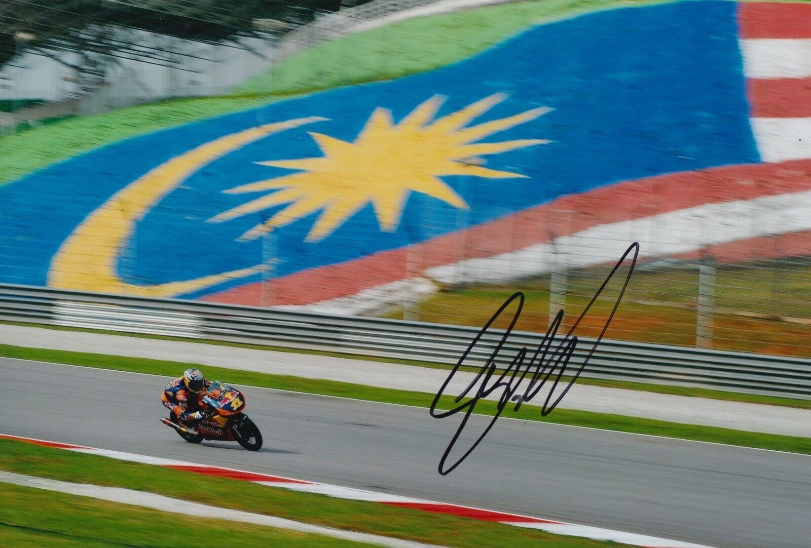 Sandro Cortese Hand Signed 12x8 Photo Poster painting - MotoGP Autograph 4.