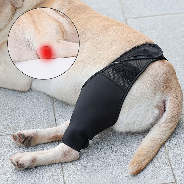 HiFuzzyPet Neoprene Rear Dog Knee Brace for Torn ACL