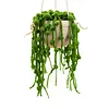 Hanging basket Crochet Starter Kits with Step-by-Step Video Tutorials, Hanging Potted Plants Knitting Starter Pack for Beginners Decoration
