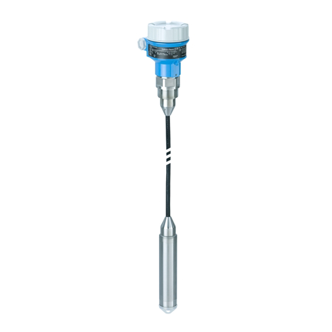 e+h,E+H Deltapilot FMB52 Level Transmitter