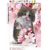 Diamond Painting -5D Full Round Drill Flower Cat