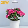 Full Spectrum Grow Lights Height Adjustable Plant Growing Lamp for Indoor Plants
