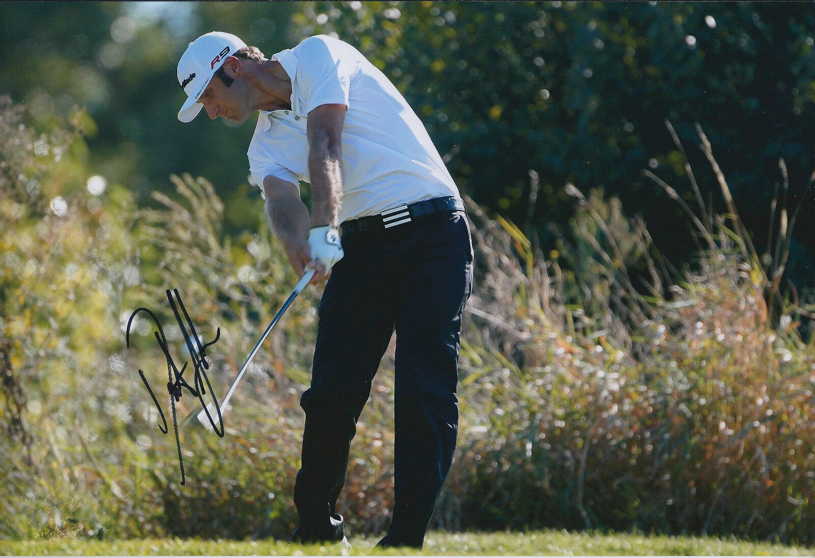 Dustin JOHNSON SIGNED Autograph 12x8 Photo Poster painting AFTAL COA In Person AUTHENTIC GOLF