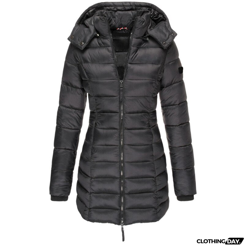 Timeless and Stylish Jacket