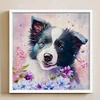 Border Collie Dog-11CT Stamped Cross Stitch 40*40cm