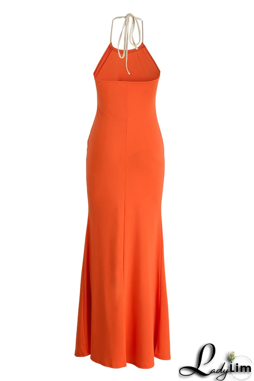 Black Fashion Sexy Solid Backless Halter Long Dress