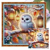 (Multi-Style) Owl-11CT Stamped Cross Stitch 40*40cm/15.75*15.75in tapestrymarket