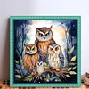 (US Only)Owl Printed Cross Stitch Kit 45x45cm DIY 11CT Thread Art Needlework Home Art